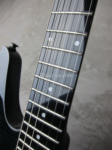 画像2: Steinberger ZT-3 Custom / Trans Black  (2)