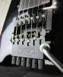 画像3: Steinberger GL-2T (3)