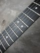 画像6: Steinberger GL-2T (6)