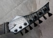 画像2: Skervesen Raptor 7 Multi Scale Black Burst (2)