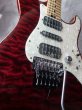 画像6: SCHECTER EX-5  22 CTM FRT / RSB / Birds Eye Flame Maple  (6)