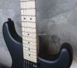 画像10: Charvel Custom Shop  SanDimas SSH  / Off Black (10)