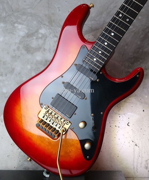 画像15:  Valley Arts Custom Pro USA  / 1 Piece Maple / FIRE BURST (15)