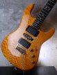 画像14:  Valley Arts Custom Pro USA Quited Maple H-S-H / Natural Amber (14)