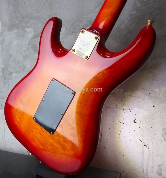 画像14:  Valley Arts Custom Pro USA  / 1 Piece Maple / FIRE BURST (14)
