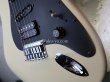 画像10: Charvel '91 Jake E Lee Sig / Model (10)