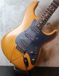 画像15: Valley Arts '78　Stratocaster SSS / Natural  (15)