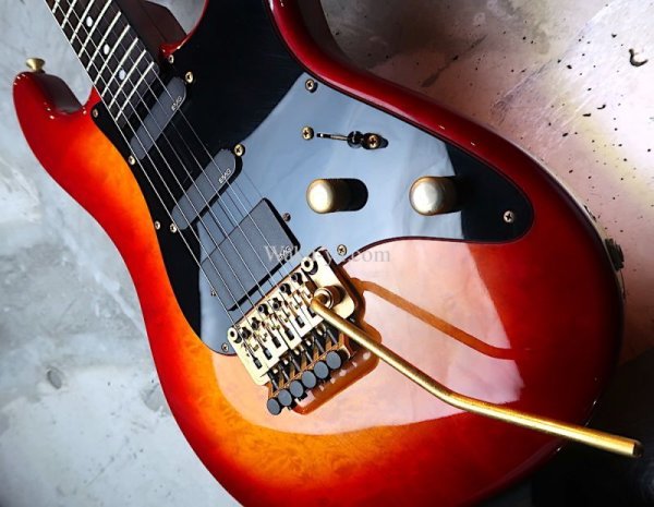 画像11:  Valley Arts Custom Pro USA  / 1 Piece Maple / FIRE BURST (11)
