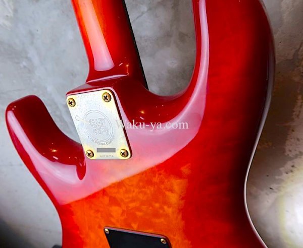 画像10:  Valley Arts Custom Pro USA  / 1 Piece Maple / FIRE BURST (10)