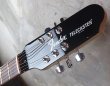 画像3: Fender Custom Shop "John 5" Bigsby® Signature Telecaster  NOS (3)