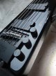 画像12: Steinberger XL-25 W  / Passive W-EMG (12)