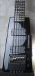 画像10: Steinberger XL-25 W  / Passive W-EMG (10)