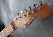 画像2: Charvel USA Guthrie Govan Signature  (2)