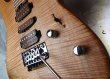 画像5: Charvel USA Guthrie Govan Signature  (5)