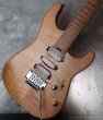 画像13: Charvel USA Guthrie Govan Signature  (13)