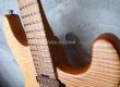 画像3: Charvel USA Guthrie Govan Signature  (3)