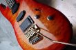 画像10: Valley Arts Custom Pro USA '93 / Fire Burst (10)