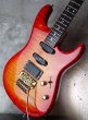 画像9: Valley Arts Custom Pro USA '93 / Fire Burst (9)