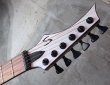 画像3: Skervesen Velociraptor 6-Strings / Trans White Top (3)