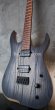 画像5: Skervesen Velociraptor 6-Strings / Trans Black Top (5)