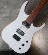 画像14: Skervesen Velociraptor 6-Strings / Trans White Top (14)