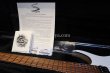 画像15: Skervesen Velociraptor 6-Strings / Trans White Top (15)