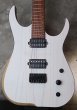 画像1: Skervesen Velociraptor 6-Strings / Trans White Top (1)