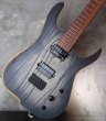 画像14: Skervesen Velociraptor 6-Strings / Trans Black Top (14)