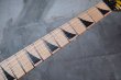 画像4: Charvel USA Custom Shop Master-built San Dimas 2H / Pointy Bengal  (4)