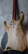 画像6: Mayones Hydra 6 / Black Limba (6)