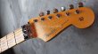 画像3:  Fender Custom Shop Alley Cat Stratocaster Heavy Relic / Faded Army Drab Green (3)