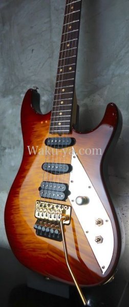 画像5: Suhr Reb Beach signature / Honey Burst / Trans bm back (5)