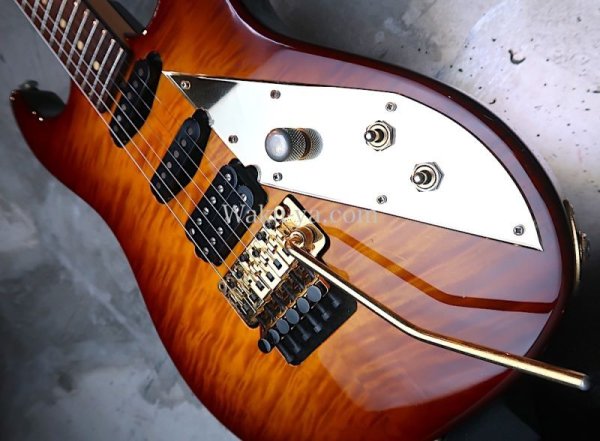 画像11: Suhr Reb Beach signature / Honey Burst / Trans bm back (11)