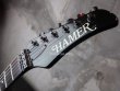 画像3: Hamer USA Phantom  A5  Glenn Tipton Black  / Vintage  (3)