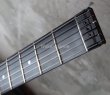 画像2: Steinberger GL-4TA  Elite / White (2)