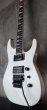 画像5: Jackson USA Custom Shop Soloist SL2H / Snow White (5)