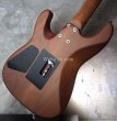 画像13:  Charvel  USA Custom Shop GUTHRIE GOVAN Sig  HSH Flame Maple (13)