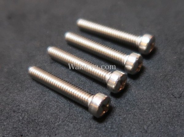 画像3: SUS Reinforced Intonation Length Screws  / for G&L BASS Bridge  (3)