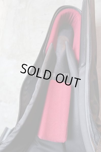 画像3: NAZCA Protect Case for Steinberger GK / Klein  (3)