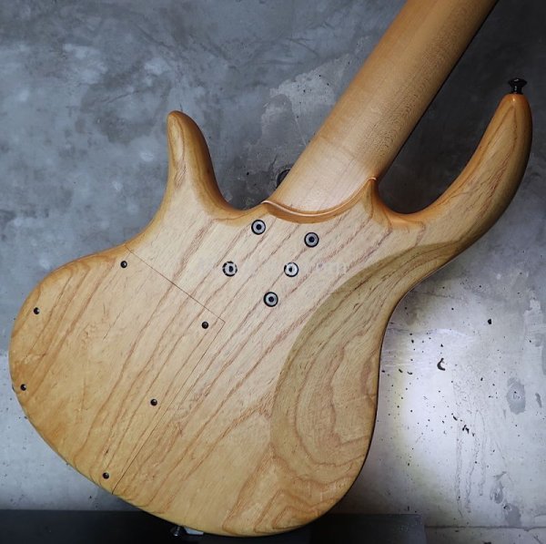 画像12: elrick Gold Series e-volution 5 Strings Bolt-on   (12)