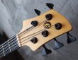 画像3: elrick Gold Series e-volution 5 Strings Bolt-on   (3)