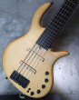 画像13: elrick Gold Series e-volution 5 Strings Bolt-on   (13)