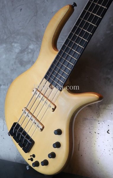 画像9: elrick Gold Series e-volution 5 Strings Bolt-on   (9)
