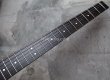 画像5: Steinberger GK-4T Klein / Black (5)