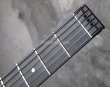 画像4: Steinberger GK-4T Klein / Black (4)