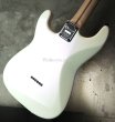 画像12:  Charvel USA Custom shop "Jake E. Lee" Signature  (12)