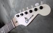 画像3:  Charvel USA Custom shop "Jake E. Lee" Signature  (3)