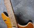 画像4: Peavey USA Wolfgang Standard / Trans Amber (4)