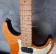 画像10: Suhr Standard Trans Honey Amber H-S-H　 (10)