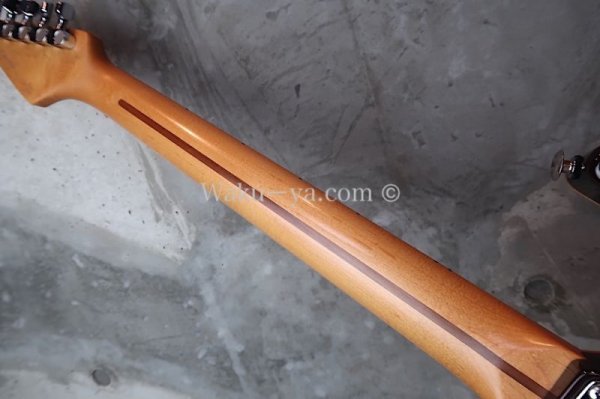 画像8: Suhr Standard Trans Honey Amber H-S-H  (8)